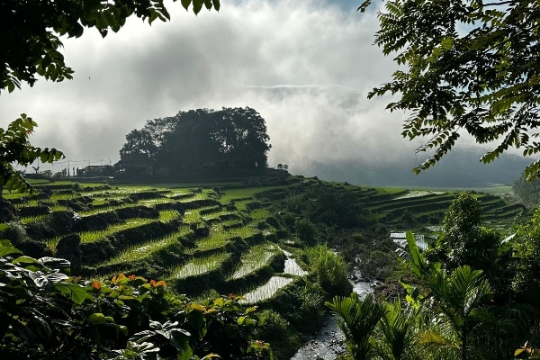 11 Days / 10 Nights -Sapa TuLe  MuCangChai MocChau PuLuong - photo 48